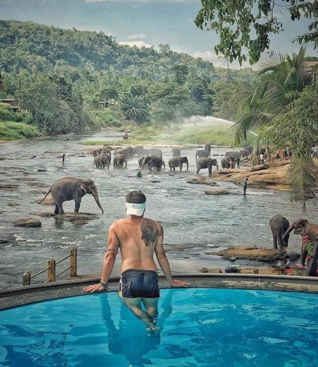 Hotel Elephant Bay Pinnawala  Exteriér fotografie