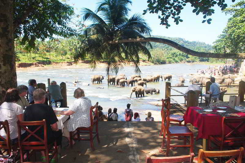 Hotel Elephant Bay Pinnawala  Exteriér fotografie